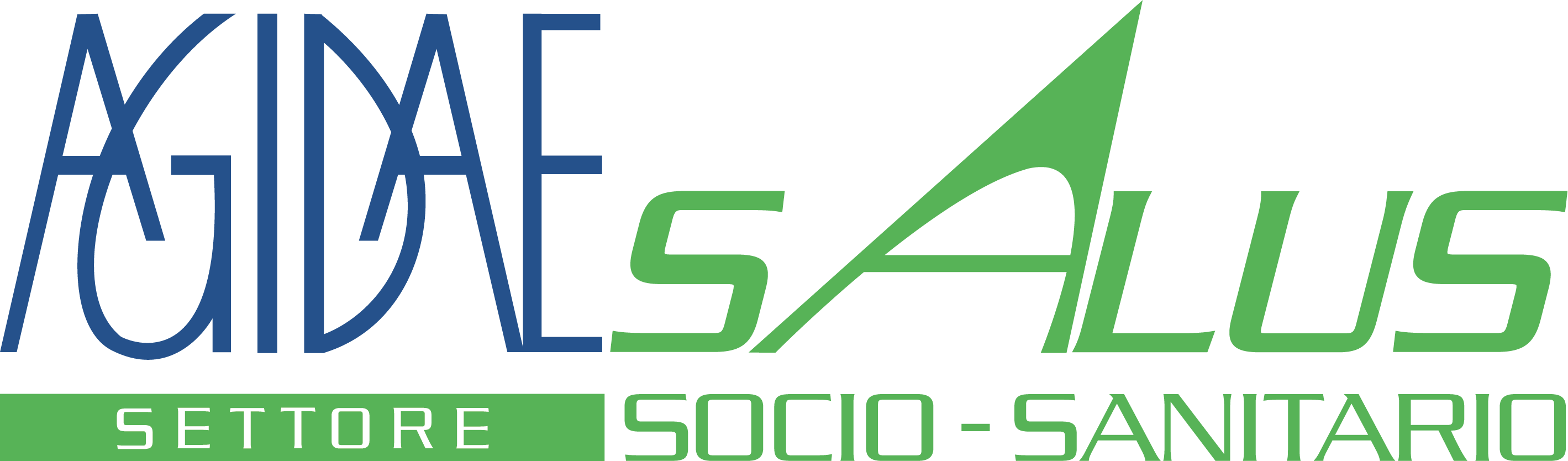 AGIDAE Salus Socio-Sanitario